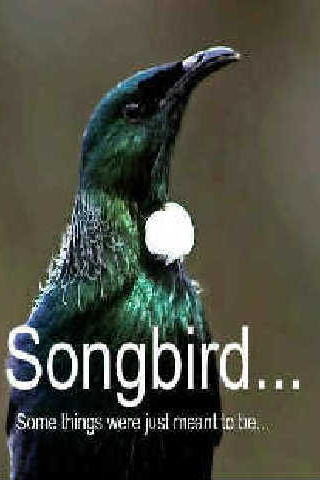 Songbird Poster