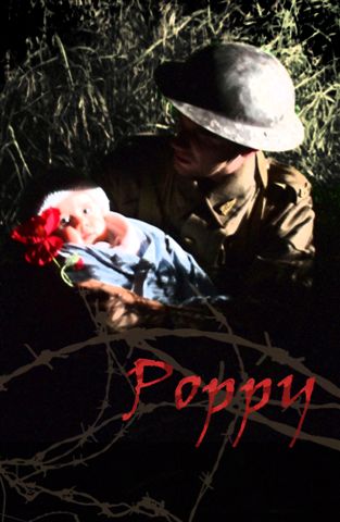 Poppy Poster